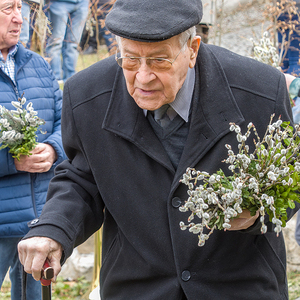Palmweihe wird zu einem lebendigen Gottesdienst.